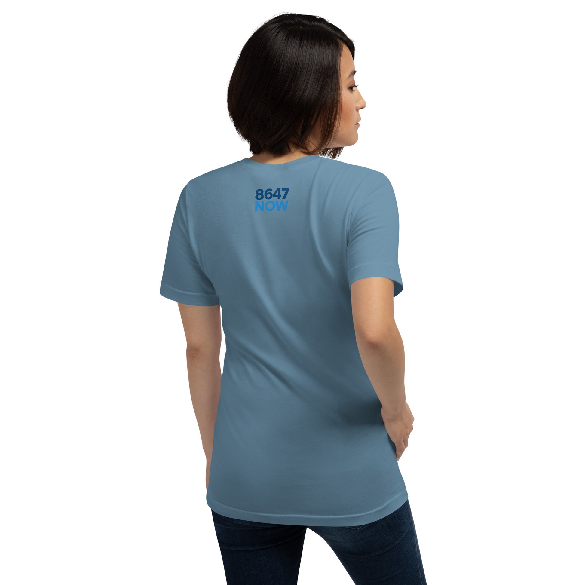 FDT Silhouette Tee — Steel Blue back detail mockup from 8647 NOW