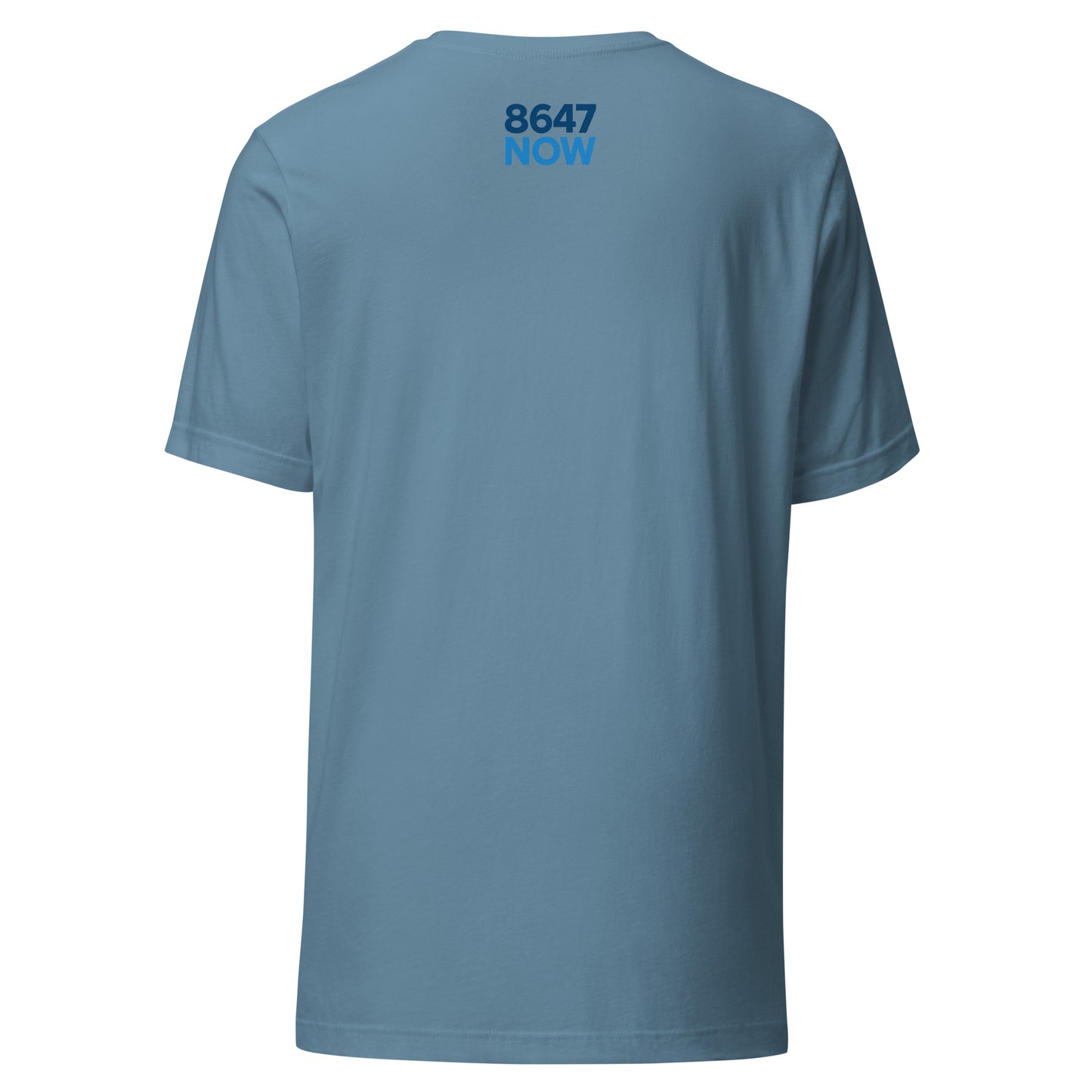 FDT Silhouette Tee — Steel Blue back mockup from 8647 NOW
