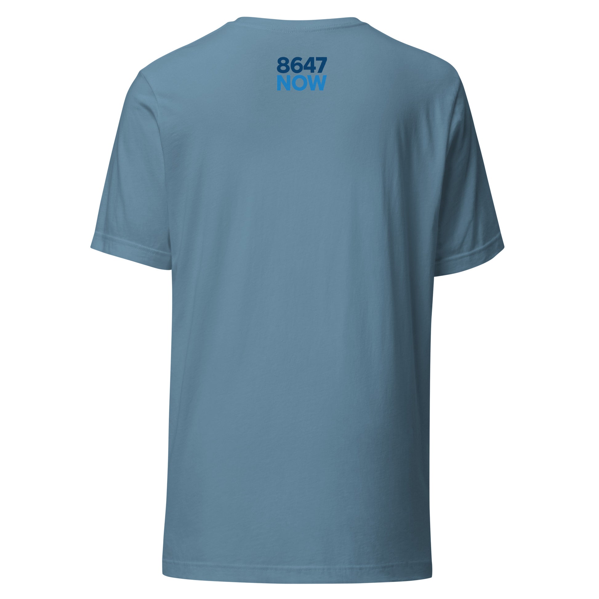 FDT Silhouette Tee — Steel Blue back mockup from 8647 NOW